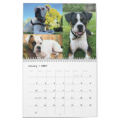 Mooie Boxers 2021-agenda Kalender (Jan 2027)