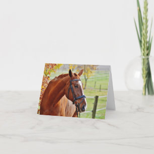 Mooie briefkaart voor paarden