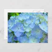 Mooie briefkaarten Pastel Blue Hydrangeas (Voorkant / Achterkant)