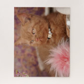 Mooie Britse Shorthair Kitten Legpuzzel (Verticaal)