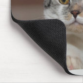 Mooie Britse Shorthair Tomcat Muismat (Hoek)