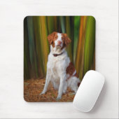 Mooie Brittany Mousepad Muismat (Met muis)