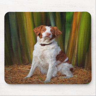 Mooie Brittany Mousepad Muismat