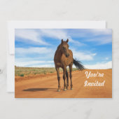 Mooie Brown Horse Road Foto Verjaardag Kaart (Voorkant)