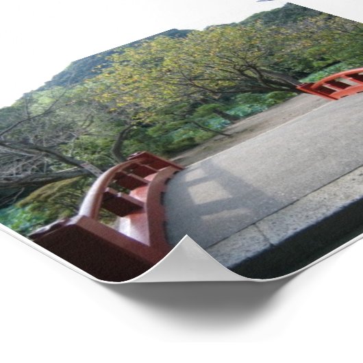 Mooie brug poster (Hoek)