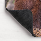 Mooie bruine Beren Muismat (Hoek)