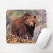 Mooie bruine Beren Muismat (Met muis)