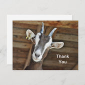 Mooie bruine en witte geit foto dank je wel briefkaart (Voorkant / Achterkant)