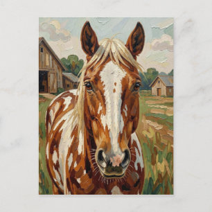 Mooie bruine en witte paard   Contact houden Briefkaart