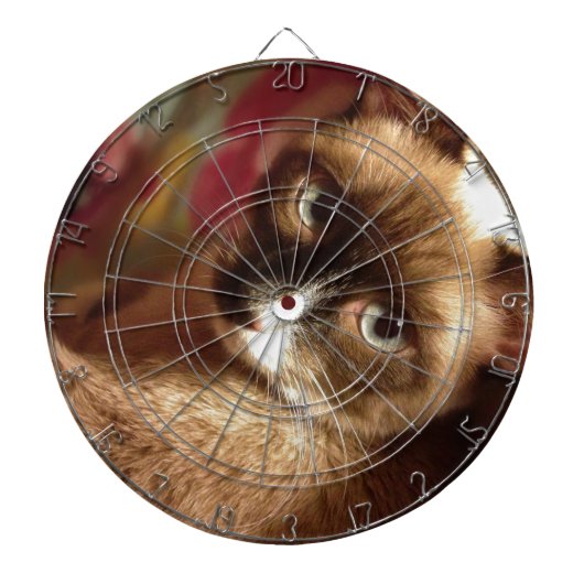 Mooie Bruine Kat Dartbord (Voorkant)
