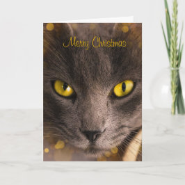Mooie bruine kat met gouden kerstmis kaart