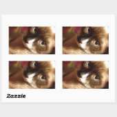 Mooie bruine kat rechthoekige sticker (Vel)