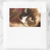 Mooie bruine kat rechthoekige sticker (Tas)