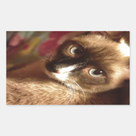 Mooie bruine kat rechthoekige sticker