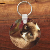 Mooie bruine kat sleutelhanger (Voorkant)