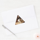 Mooie bruine kat sticker (Envelop)