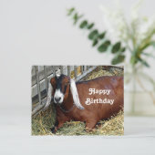 Mooie Bruine Nubische Geit Foto Verjaardag Briefkaart (Staand voorkant)