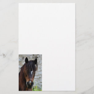Mooie bruine paard briefpapier