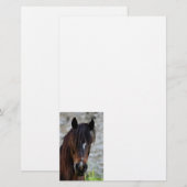 Mooie bruine paard briefpapier (Voorkant / Achterkant)
