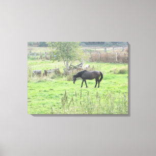 Mooie bruine paard in de wei Fotowandkunst Canvas Afdruk