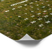 Mooie bruine paard in de weide 2024 wandkalender poster (Hoek)