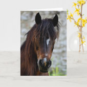 Mooie bruine paard kaart (Gele Bloem)