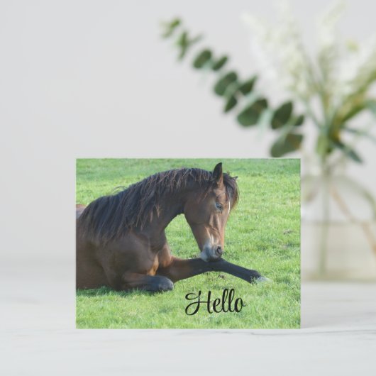 Mooie bruine paard ligt in het gras feestdagenkaart (Staand voorkant)