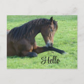 Mooie bruine paard ligt in het gras feestdagenkaart (Voorkant)