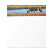 Mooie bruine paard notitieblok (Voorkant)