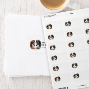 Mooie bruine paarden adreslabel etiket