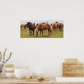 Mooie bruine paarden poster (Keuken)
