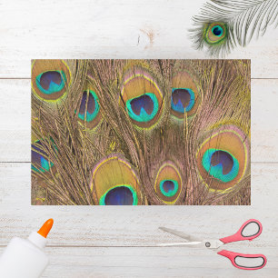 Mooie bruine Peacock-veren Tissuepapier