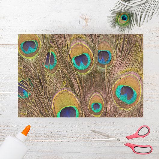 Mooie bruine Peacock-veren Tissuepapier