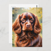 Mooie Bruine Spaniel Hond Briefkaart (Voorkant / Achterkant)
