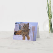 Mooie bruine tabby kaart (Voorkant)