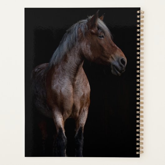 Mooie bruine Thoroughbred Horse Planner (Achterkant)