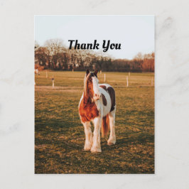 Mooie, bruine verf Draft Horse foto bedankt Briefkaart