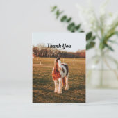 Mooie, bruine verf Draft Horse foto bedankt Briefkaart (Staand voorkant)