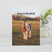 Mooie bruine verf ontwerp paard foto verjaardag kaart (Staand voorkant)