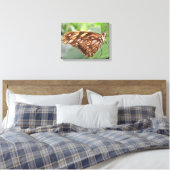 Mooie Bruine Vlinder Canvas Print (Insitu (Slaapkamer))