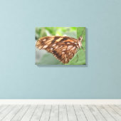 Mooie Bruine Vlinder Canvas Print (Insitu (Houten vloer))