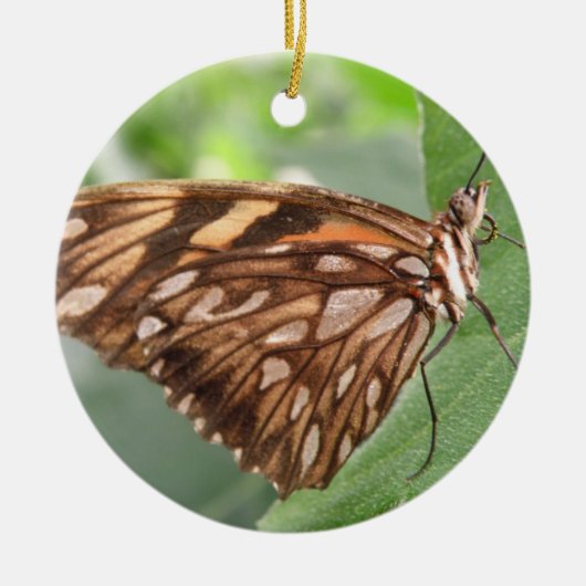 Mooie Bruine Vlinder Versiering Keramisch Ornament (Voorkant)