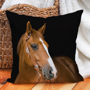 Mooie bruine witte Quarter Horse foto Kussen