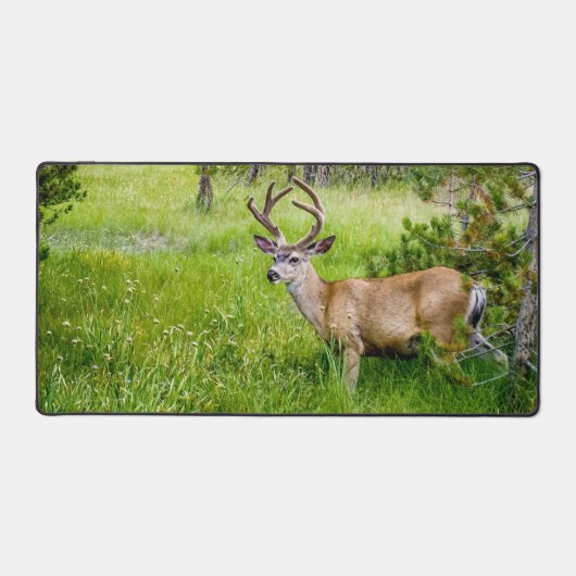 Mooie Buck in de Meadow Desk Mat (Voorkant)
