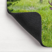 Mooie Buck in de Meadow Mousepad Muismat (Hoek)