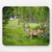 Mooie Buck in de Meadow Mousepad Muismat (Voorkant)