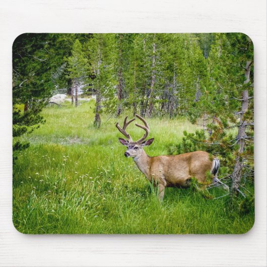 Mooie Buck in de Meadow Mousepad Muismat (Voorkant)