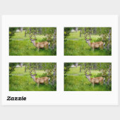 Mooie Buck in de Meadow Sticker (Vel)