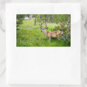 Mooie Buck in de Meadow Sticker (Tas)