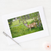 Mooie Buck in de Meadow Sticker (Envelop)